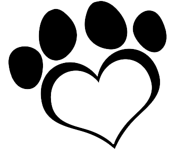 Cutie Paws Grooming Penticton Okanagan,dog grooming Penticton Okanagan,dog grooming Penticton,Penticton Okanagan,Okanagan,dog grooming,clean dog penticton