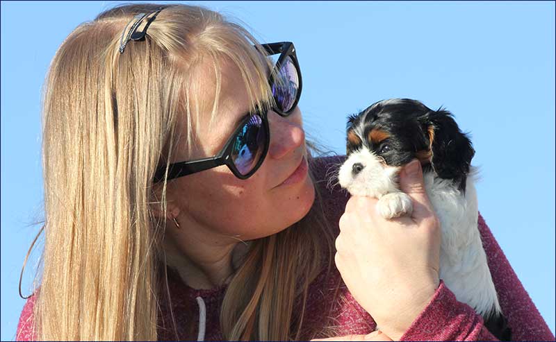 Cutie Paws Grooming Penticton Okanagan,dog grooming Penticton Okanagan,dog grooming Penticton,Penticton Okanagan,Okanagan,dog grooming,clean dog penticton